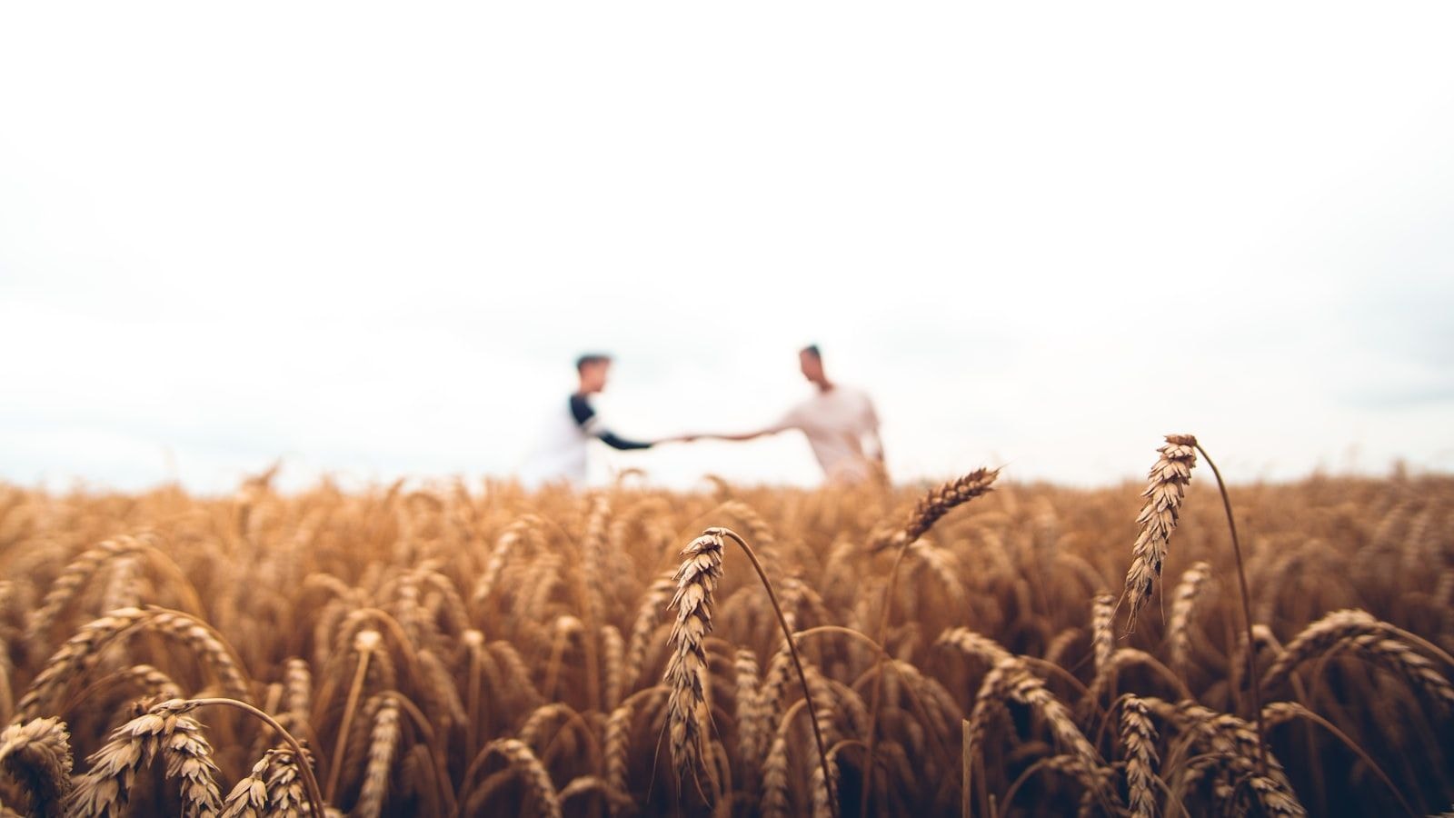 Farmerline's quiet AI pivot could reshape African agritech