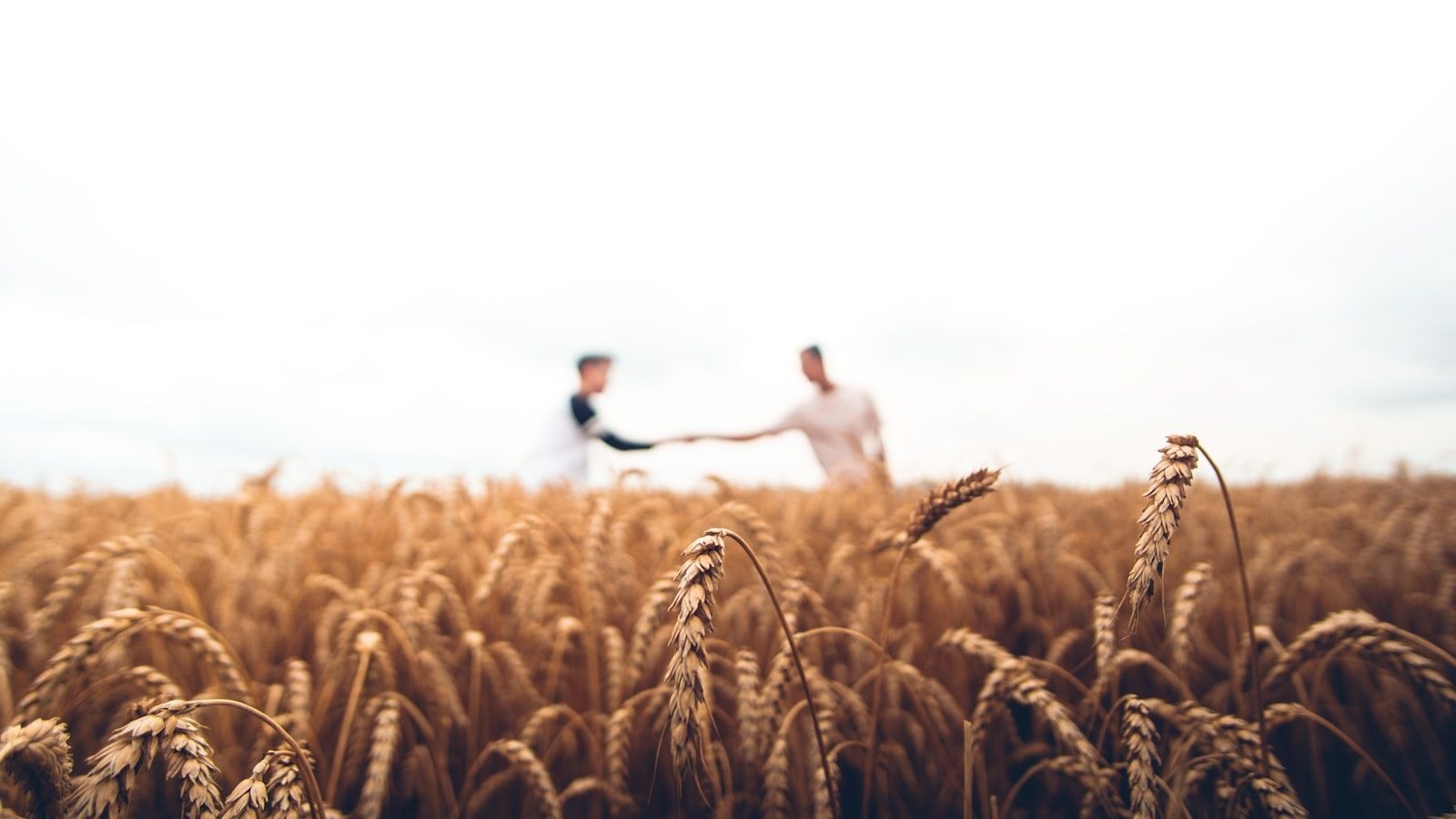 Farmerline's quiet AI pivot could reshape African agritech